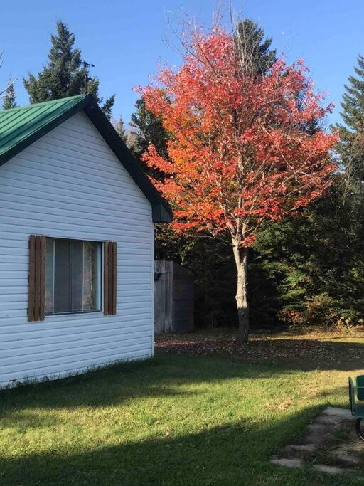 Le Jazz- Chalet Rustique/Chic Avec Spa Notre-Dame-Des-Bois エクステリア 写真