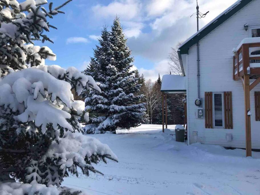 Le Jazz- Chalet Rustique/Chic Avec Spa Notre-Dame-Des-Bois エクステリア 写真